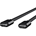 Belkin Thunderbolt 3 Cable (USB-C to USB-C) (100W) (1.6ft/0.5m) - First End: 1x USB Type C Male Thunderbolt 3 - F2CD084BT05MBK 1 thumbnail image