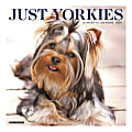 The tiny Yorkshire Terrier, typified by its silky blue and tan coat, is a perky, clever and loyal companion.  All the charms of this popular breed are captured in twelve delightful, full color photographs. 1 thumbnail image