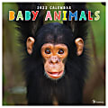TF Publishing Animals Monthly Wall Calendar, 12" x 12", Baby Animals, January to December 2022, 1000 1 thumbnail image