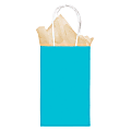 Amscan Kraft Paper Gift Bags, Small, Caribbean Blue, Pack Of 24 Bags 1 thumbnail image