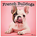 TF Publishing Animals Monthly Wall Calendar, 12" x 12", French Bulldogs, January to December 2022, 1031 1 thumbnail image