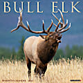 2024 Willow Creek Press Animals Monthly Wall Calendar, 12" x 12", Bull Elk, January To December