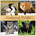 2026 Willow Creek Press Scenic Monthly Wall Calendar, 12" x 12", Northwoods Wildlife, January To December, 52204 1 thumbnail image