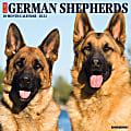 Willow Creek Press Animals Monthly Wall Calendar, 12" x 12", Just German Shepherds, January to December 2022, 18026 1 thumbnail image