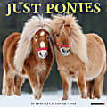 2024 Willow Creek Press Animals Monthly Wall Calendar, 12" x 12", Ponies, January To December