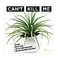 TF Publishing Monthly Mini Wall Calendar, 7" x 7", Can't Kill Me, January to December 2022, 2018 1 thumbnail image