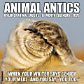 2026 Willow Creek Press Humor & Comics Monthly Wall Calendar, 12" x 12", Animal Antics, January To December, 57735 1 thumbnail image