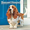 2025 BrownTrout Basset Hounds Monthly Plastic-Free Square Wall Calendar, 12" x 12", Dog Breeds, January to December 2025, 9781975476595 1 thumbnail image