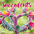 2024 Willow Creek Press Scenic Monthly Wall Calendar, 12" x 12", Succulents, January To December