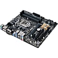 Asus Q170M-C/CSM Desktop Motherboard - Intel Chipset - Socket H4 LGA-1151 - 64 GB DDR4 SDRAM Maximum RAM - DIMM, UDIMM - 4 x Memory Slots - Gigabit Ethernet - 6 x USB 3.0 Port - HDMI - DVI - 6 x SATA Interfaces 1 thumbnail image
