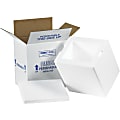 Partners Brand Brand Insulated Corrugated Cartons, 8" x 6" x 9", Pack Of 8