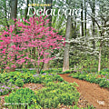 2025 BrownTrout Delaware Wild & Scenic Monthly Plastic-Free Square Wall Calendar, 12" x 12", American States, January to December 2025, 9781975474775 1 thumbnail image