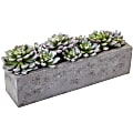 Nearly Natural Succulent 5-1/2”H Plastic Garden With Textured Concrete Planter, 5-1/2”H x 13-1/2”W x 4-1/2”D, Green