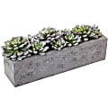 Nearly Natural Succulent 5-1/2”H Plastic Garden With Textured Concrete Planter, 5-1/2”H x 13-1/2”W x 4-1/2”D, Green 1 thumbnail image