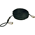 Tripp Lite 100ft DVI Single Link Digital TMDS Monitor Easy Pull Cable M/M - (DVI-D M/M) 100-ft.