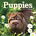 DateWorks Wall Calendar, 12" x 12", Puppies, January To December 2022, 223034 1 thumbnail image