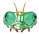 Insect Lore Buzzerks Bug Goggles, Green, Pre-K to 5th Grade 1 thumbnail image