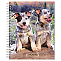2023-2024 BrownTrout 16-Month Weekly/Monthly Engagement Planner, 7-3/4" x 7-3/16", I Love Puppies, September To December