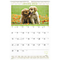 AT-A-GLANCE Puppies 2023 RY Monthly Wall Calendar, Large, 15 1/2" x 22 3/4"