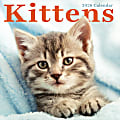 2026 TF Publishing Animals Monthly Wall Calendar, 12” x 12”, Kittens, January To December 1 thumbnail image
