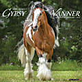 2024 Willow Creek Press Animals Monthly Wall Calendar, 12" x 12", Gypsy Vanner Horse, January To December