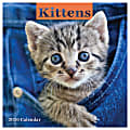 2026 TF Publishing Animals Mini Monthly Wall Calendar, 7” x 7”, Kittens, January To December 1 thumbnail image