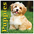 2026 TF Publishing Animals Mini Monthly Wall Calendar, 7” x 7”, Puppies, January To December 1 thumbnail image