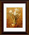 Timeless Frames Katrina Framed Floral Artwork, 11" x 14", Brown, White Narcissus On Bronze