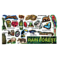 Scholastic Rainforest Plants & Animals Mini Bulletin Board