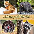 Willow Creek Press Animals Monthly Wall Calendar, 12" x 12", Northwoods Wildlife, January to December 2022, 19061 1 thumbnail image
