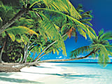 Biggies Landscape/Seascape Mural, 48" x 36", Unframed, Beach 1 thumbnail image