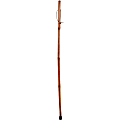Brazos Walking Sticks™ Free Form Iron Bamboo Walking Stick, 55", Red