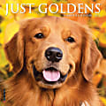 2025 Willow Creek Press Mini Wall Calendar, 7” x 7”, Just Goldens, January 2025 To December 2025, 45794 1 thumbnail image