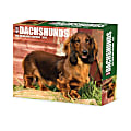 2026 Willow Creek Press Page-A-Day Daily Desk Calendar, 6-1/4" x 5-1/2", Dachshunds, January To December, 54093 1 thumbnail image