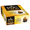 Raw Revolution Bars, Peanut Butter, Dark Chocolate and Sea Salt Glo, 1.6 Oz, Pack Of 12