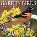 2026 Willow Creek Press Animals Monthly Wall Calendar, 12" x 12", Garden Birds, January To December, 51184 1 thumbnail image