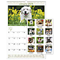 2025 AT-A-GLANCE® Puppies Monthly Wall Calendar, 15-1/2" x 22-3/4", Animals, January 2025 To December 2025, DMW16728 1 thumbnail image
