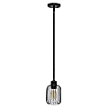 Lalia Home Ironhouse 1-Light Industrial Caged Mini Pendant Ceiling Light, 5"W, Black