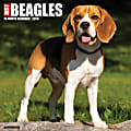 2026 Willow Creek Press Art & Design Monthly Wall Calendar, 12" x 12", Beagles, January To December, 50156 1 thumbnail image