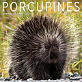 2026 Willow Creek Press Animals Monthly Wall Calendar, 12" x 12", Porcupines, January To December, 56066 1 thumbnail image