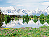 Biggies Landscape/Seascape Mural, 48" x 36", Unframed, Mountain Flowers 1 thumbnail image
