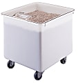Cambro Flat-Top Ingredient Bin, 32 Gallons, 23"H x 22"W x 24"D, White 1 thumbnail image