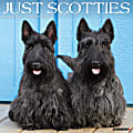 2025 Willow Creek Press Monthly Wall Calendar, 12" x 12", Scotties, January 2025 to December 2025, 44773 1 thumbnail image