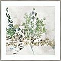 Amanti Art Olive Branch by Asia Jensen Wood Framed Wall Art Print, 33”W x 33”H, White