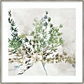 Amanti Art Olive Branch by Asia Jensen Wood Framed Wall Art Print, 33”W x 33”H, White 1 thumbnail image