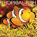 Willow Creek Press Animals Monthly Wall Calendar, Tropical Fish, 12" x 12", January To December 2021 1 thumbnail image