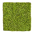 Nearly Natural Duckweed Mat 20”H Artificial Plant, 20”H x 20”W x 1”D, Green