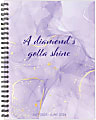2025-2026 Willow Creek Press Softcover Weekly/Monthly Academic Planner, 6-1/2" x 8-1/2", A Diamond's Gotta Shine, July 2025 To June 2026, 54819 1 thumbnail image