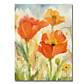 Trademark Global Field Of Poppies Gallery-Wrapped Canvas Print By Sheila Golden, 24"H x 32"W