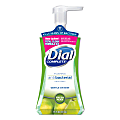 Dial Complete® Foaming Antibacterial Hand Wash, Fresh Pear, 7.5 Oz.